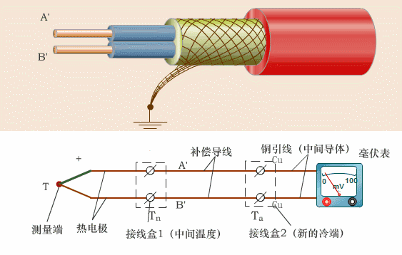 热电偶补偿导线的外形图
