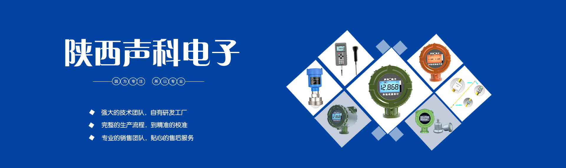 陕西声科电子
