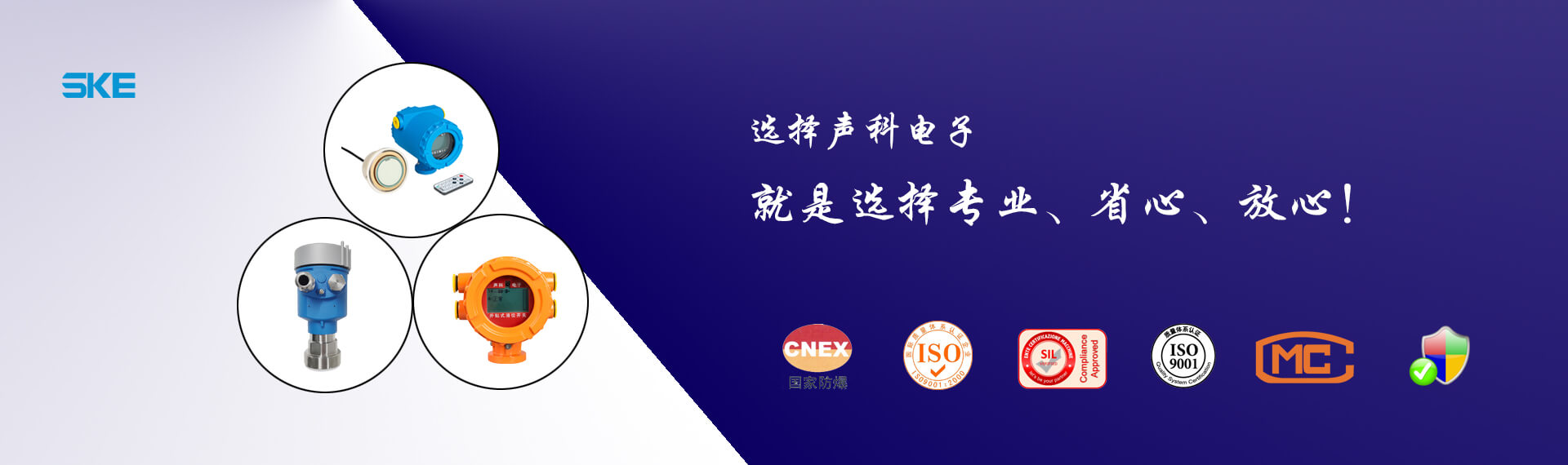 陕西声科电子